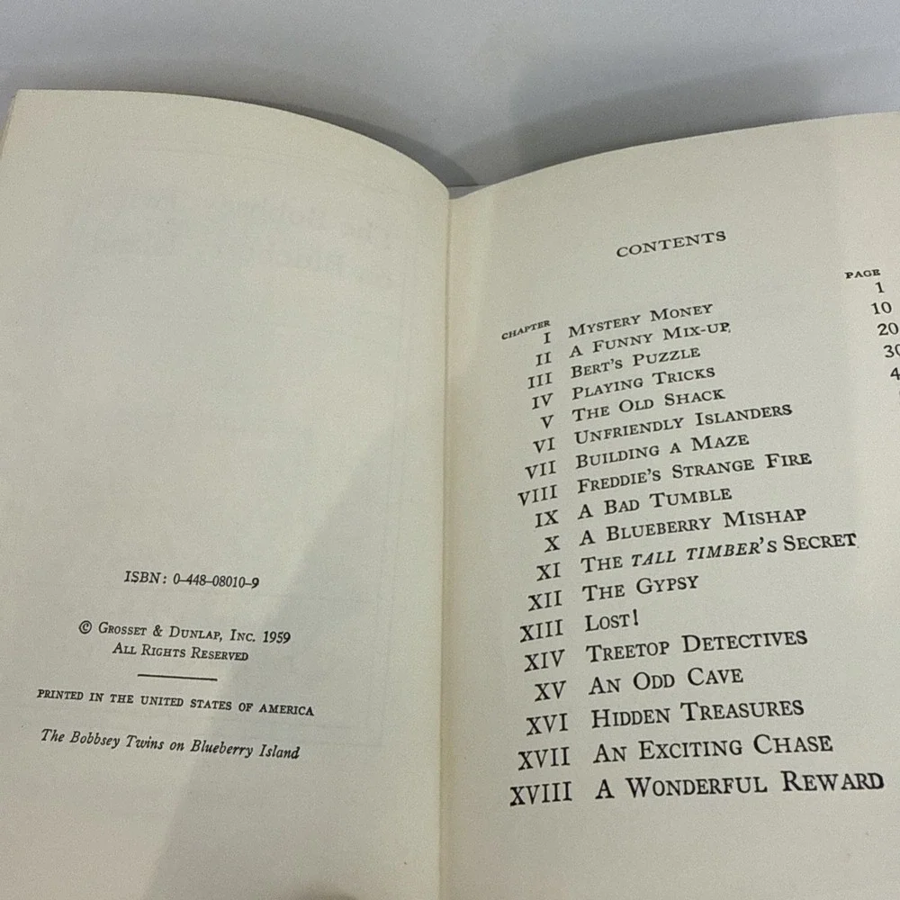 1959 Grosset & Dunlap Bobbsey Twins on Blueberry Island by Laura Lee Hope Vtg
